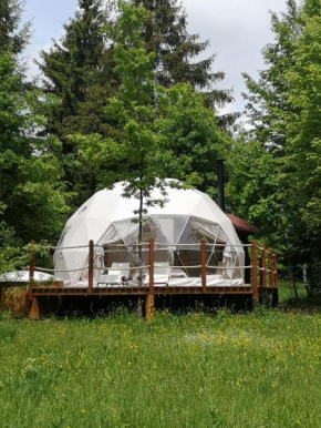 Medve Dome - Luxury Camping in the middle of nature